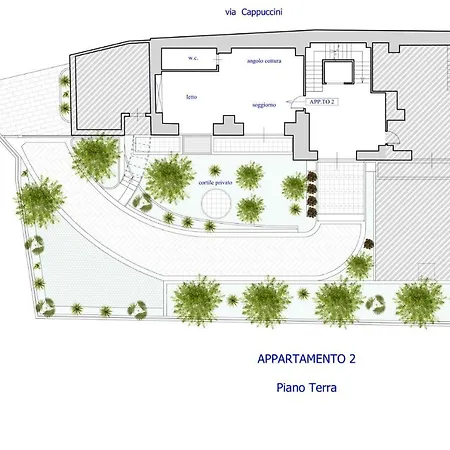 Plumbago 상트아그넬로